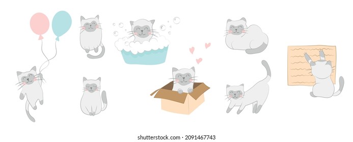 set of cute kittens favorite pets