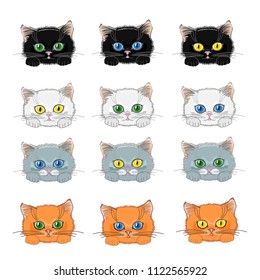 A set of cute kitty with bright eyes. Vector illustration.