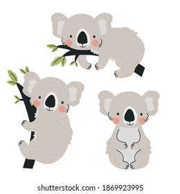 Set of cute Koala bears on a white background. Vector illustration in a modern cartoon style, for printing on packaging paper, postcard, poster, banner, clothing. Cute children's background.