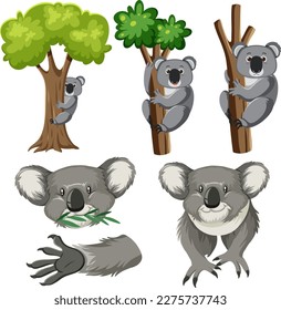 Dibujo de personajes de dibujos animados de la adorable koala