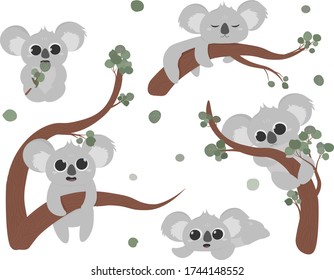 Set of cute koala character hanging on eucalyptus, kawaii baby  