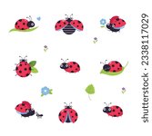 Set of cute ladybugs. Little funny ladybird insects mascots cartoon vector illustration