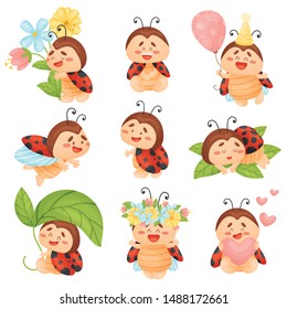 Set of cute ladybugs. Vector illustration on a white background.
