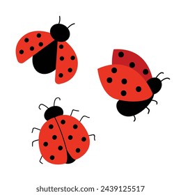 Set of cute ladybugs. Vector illustration with red ladybug. Hand drawn style. White isolated background.