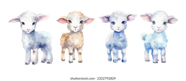 Set of cute lamb sheep farm animal watercolor isolated on white background. Vector illustration