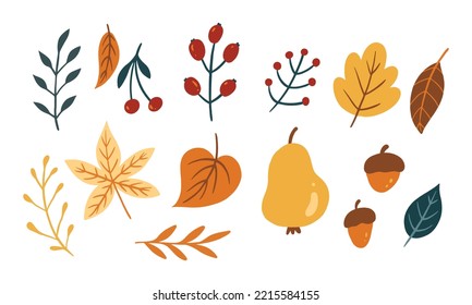 Set of cute leaf and fruit for autumn design element. Collection of simple cartoon of nature hand drawn illustration.