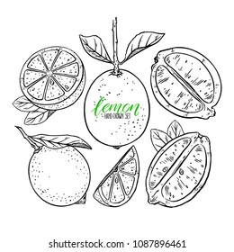 set of cute lemons. hand-drawn illustration