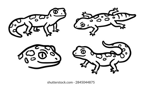 Set cute leopard gecko