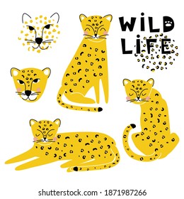 Set with cute leopards on a white background. Vector illustration in a modern cartoon style, for printing on packaging paper, postcard, poster, banner, clothing. Cute children's background.