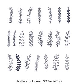 Set of cute linear hand drawn botanical  plants and flowers. Vector illustration. Isolated illustration on white
