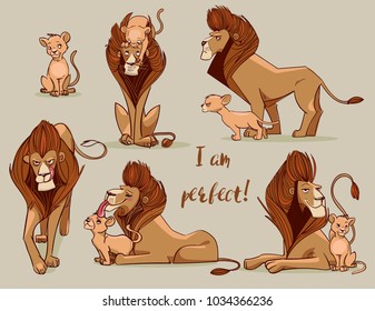 set with cute lions