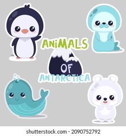 Set of cute little animals of Antarctica penguin, navy seal, polar bear and whale. Stikers in kawai style. Vector illustration.