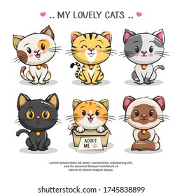 Set Cute Little Cat Character Cartoon Illustration