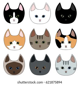 Set of cute little cats