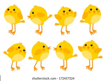 Set of cute little chickens