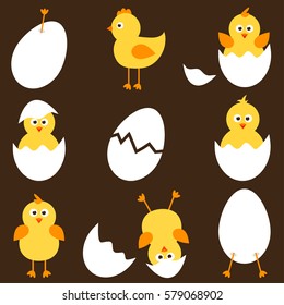 Set of cute little chickens