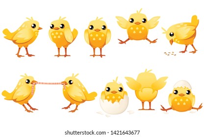 Set of cute little chicks side view cartoon character design flat vector illustration