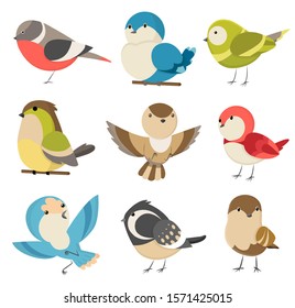 Set of cute little colorful birds isolated on white background. Common house sparrow couple, male and female. Small birds in cute cartoon style. Isolated vector clip art illustration - Shutterstock ID 1571425015