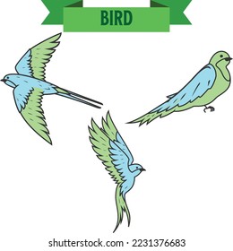 Set of cute little colorful birds isolated on white background
Vector Collection of Bird Silhouettes