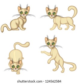 Set cute little kitten in different poses
