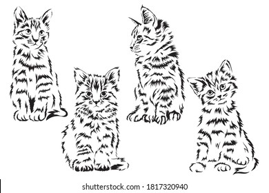 Set of cute little kitten.Collection of home fluffy pets. Vector illustration for children. Hand-draw. Logotype cats for veterinary clinic. Playing animal. 