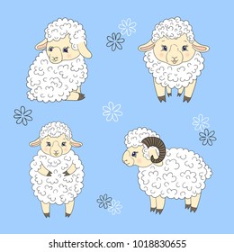 Set of cute little sheep isolate on blue. Vector illustration.