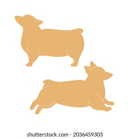 Set of cute little welsh corgi in different poses. Funny active dog. Happy pet side view.