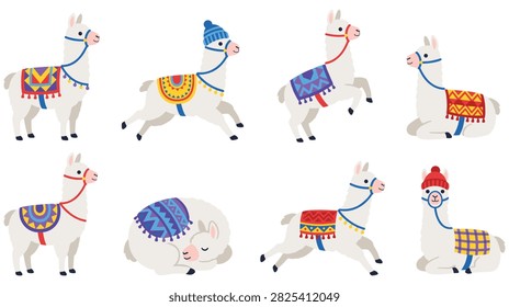 Set of cute llama characters shown in standing jumping and sitting poses with bright decorative blankets. Friendly farm animals flat graphic illustration.