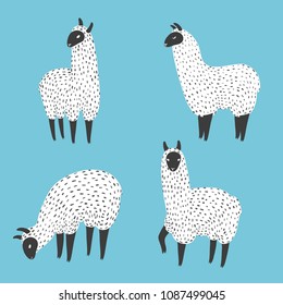 Set of cute llama. Vector illustration of hand drawn doodle lamas.