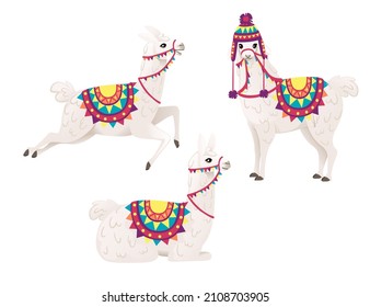 Set of cute llama wearing decorative saddle and hat with patterns cartoon animal design flat vector illustration isolated on white background side view