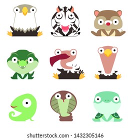 Set of cute logos with animals. Eagle, Zebra, mongoose, crocodile, vulture, ostrich, chameleon, Cobra and turtle isolated on white background.