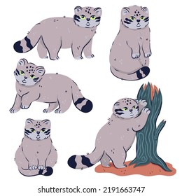 Set of cute manul cats isolated on white background. Vector graphics.
