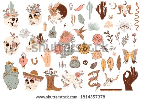 Set of cute mexico and wild west objects. Skulls, cactus, snake, horse, floral elements. Editable vector clipart illustration.