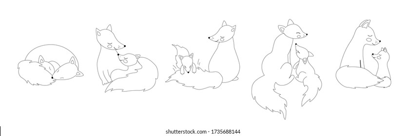 Set cute mom fox   little foxes in different poses  Foxes curled up  biting their tail  sitting and their backs to us  hugging fluffy tail  Linear love concept 