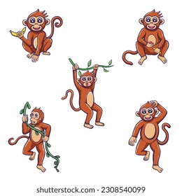 Set of cute monkey in different poses, holding banana, jumping, hanging in vines jungle and eating apple.