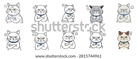 A set of cute monochrome and brown cat characters with playful expressions, whiskers, and paws, suitable for stickers, posters, and playful branding themes.   