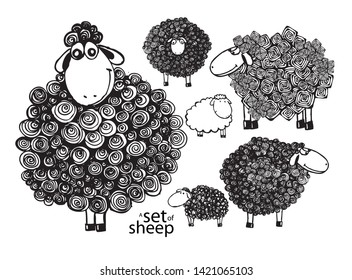 set of cute monochrome sheep. Lambs drawn by the line. Vector illustration