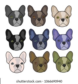 Set of the cute multi colored French Bulldog puppies isolated on a white background. Vector illustration. French Bulldog puppies colorful.
