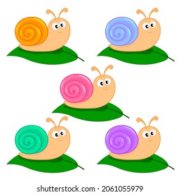 Set of cute multi-colored snails on a green leaf. Cartoon vector illustration for children