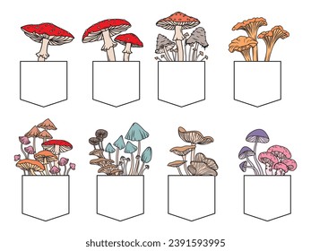 Set of cute mushroom in t-shirt pocket. Collection of forest plants in the pocket. Decorative print for bags. Botany.Tattoo. Vector illustration for a design clothes.