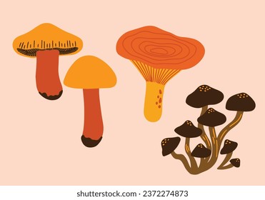 Set of cute mushrooms vector illustrations. Collection of different types of shrooms. Autumn fungi pictures set, seasonal elements. Forest poison and food edible mushrooms