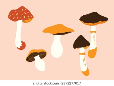 Set of cute mushrooms vector illustrations. Collection of different types of shrooms. Autumn fungi pictures set, seasonal elements. Forest poison and food mushrooms