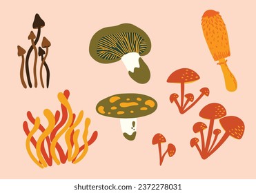 Set of cute mushrooms vector illustrations. Collection of different types of shrooms. Autumn fungi pictures set, seasonal elements. Forest poison and food mushrooms. Fly agaric, amanita, cordyceps