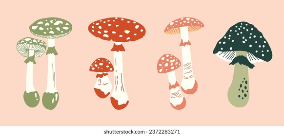 Set of cute mushrooms vector illustrations. Collection of different types of shrooms. Autumn fungi pictures set, seasonal elements. Forest poison fly agaric, amanita