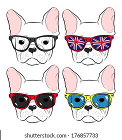 set of cute muzzle French Bulldog in glasses