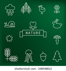 Set von niedlichen Natursymbolen. Vektorgrafik. Konturillustrationen. 