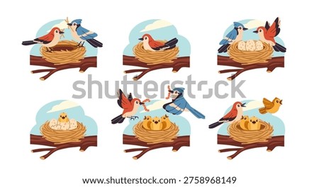 Set of cute nesting birds. Couple of small birds build nests, hatches eggs, feed and protect their offspring. Nature and Wildlife. Flat vector illustration collection isolated on background
