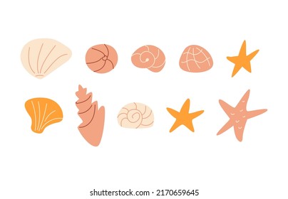 Conjunto de preciosas conchas oceánicas y pez estrella. Ilustración vectorial en el fondo aislado. Animales de moluscos submarinos.