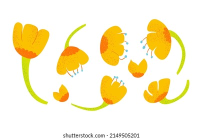 Set of cute orange spring flowers. Vector textured illustration.