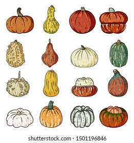 Set of cute outline pumpkin doodles. Autumn graphic icons